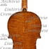 1655Violino2 c.jpg