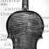 1655Violino c.jpg