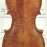 1660cViolino c.jpg