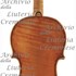 1662Violino4 c.jpg