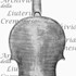 1663-1729Violino6 c.jpg