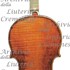 1665cViolino2 c.jpg