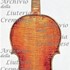 1665cViolino3 c.jpg