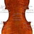 1665Violino2 c.jpg