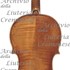 1665Violino2 c.jpg