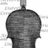 1668cViolino c.jpg