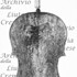 1669Cello2 c.jpg