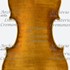 1670cviolino2 c.jpg