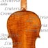 1670cViolino6 c.jpg