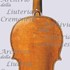 1670cViolino c.jpg