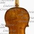 1670cViolino c.jpg