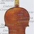 1670ViolinoMosca1 c.jpg