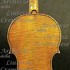 1671cViolino c.jpg