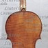 1671Violino2 c.jpg