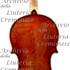 1673Violino c.jpg