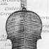 1673Violino c.jpg