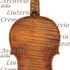 1675cViolino2 c.jpg