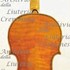 1675cViolino c.jpg