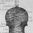 1677ViolinoPiccolo d.jpg