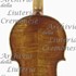 1680cViolino4 c.jpg