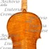 1680cViolino7 c.jpg