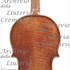 1680cViolino c.jpg