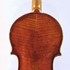 1680cViolino c.jpg