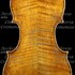 1681Violino c.jpg