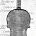 1683Violino c.jpg