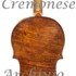 1685 c Violino c.jpg