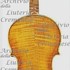 1685cViolino c.jpg