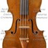 1685Violino2 a1.jpg