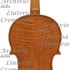 1685Violino c.jpg