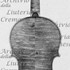 1686Violino c.jpg