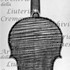 1689Violino c.jpg