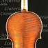 1690cViolino c.jpg