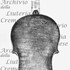 1690cViolinoPiccolo c.jpg