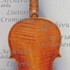 1693cViolino c.jpg