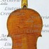 1694cViolino c.jpg