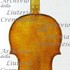 1694Violino c.jpg