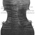 1695Cello c.jpg