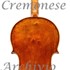 1697Viola Primrose c.jpg