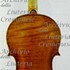 1701Violino2 c.jpg