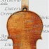 1702ViolinoLordBorwick c.jpg