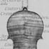 1703cViolino2 c.jpg