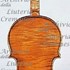 1707Violino c.jpg