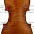 1709Violino c1.jpg