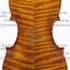 1710cViolino2 c.jpg