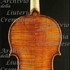 1711cViolino c.jpg