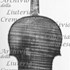 1715-25ViolinoThibaud c.jpg